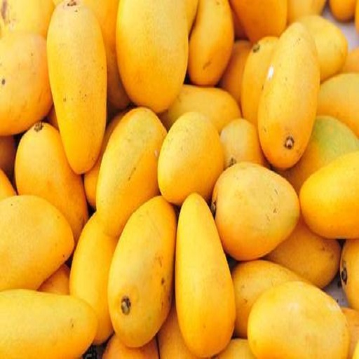 Organic Fresh Mango